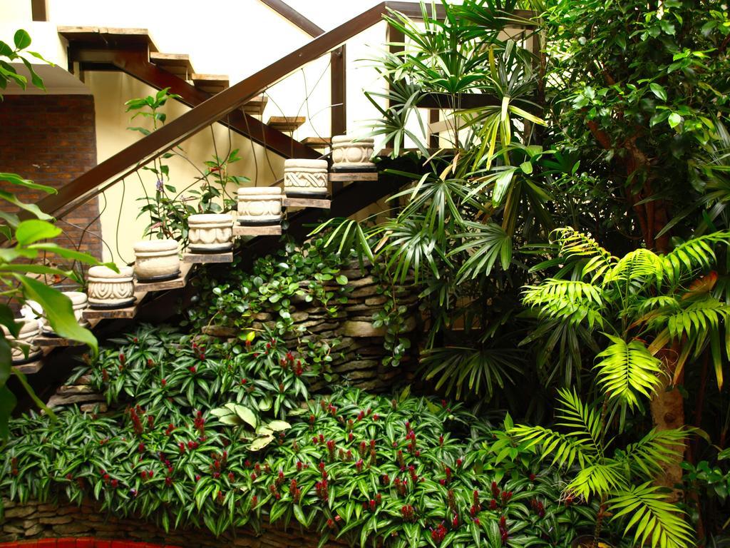 Hotel The Palm House Inn Сан Хосе Екстериор снимка